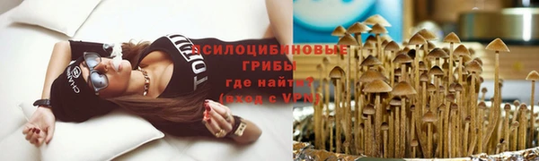 сатива Арсеньев