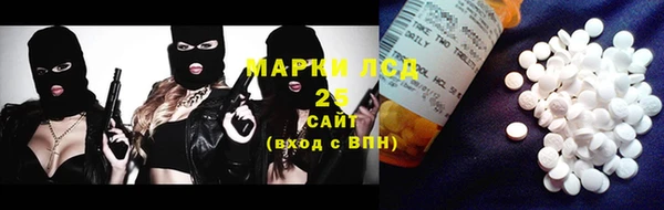 СК Медногорск