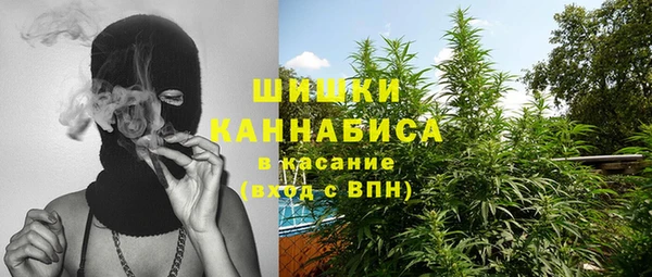 сатива Арсеньев