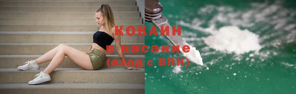 сатива Арсеньев