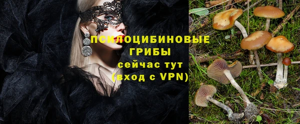 a pvp Армянск