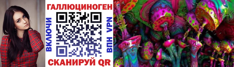 кракен маркетплейс Абаза мориарти наркотические препараты Псилоцибиновые грибы Magic Shrooms